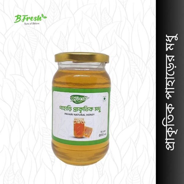 Hilly Honey (পাহাড়ী প্রাকৃতিক মধু): "Pure Hilly Honey - Nature's Gift"